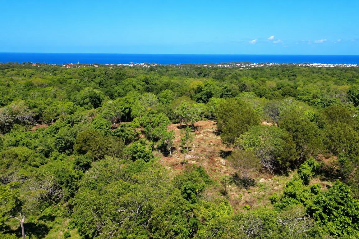 Terreno en Venta en La Mulata, Sosúa — Foto 2