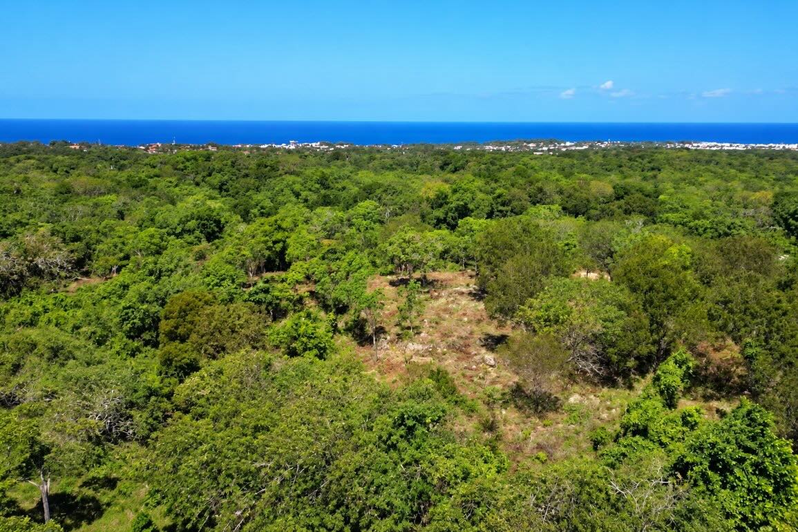 Terreno en Venta en La Mulata, Sosúa — Foto 3