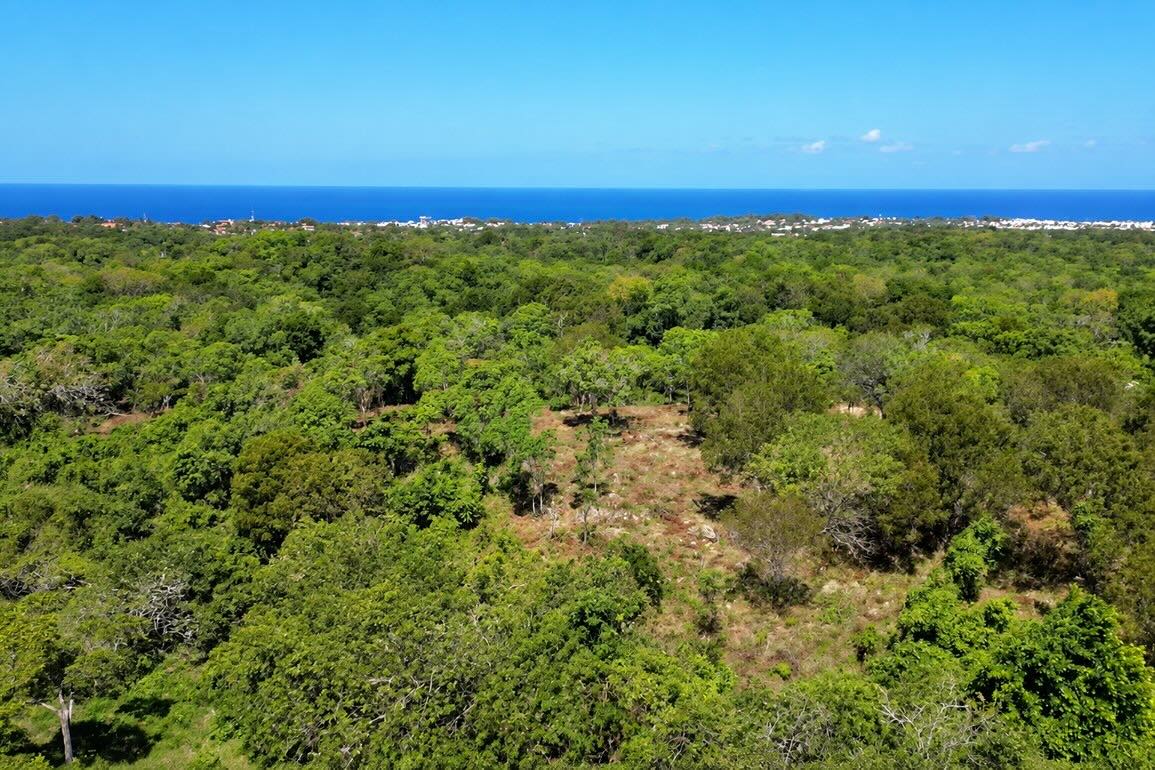 Terreno en Venta en La Mulata, Sosúa — Foto 4