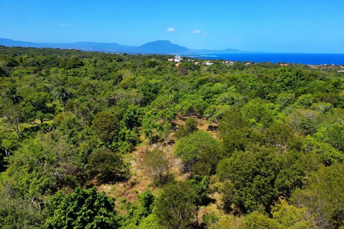 Terreno en Venta en La Mulata, Sosúa — Foto 5