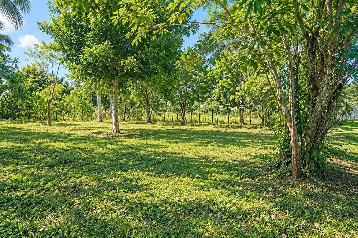 Solares en Venta en Jardín Deportivo, Cabarete — Foto 5