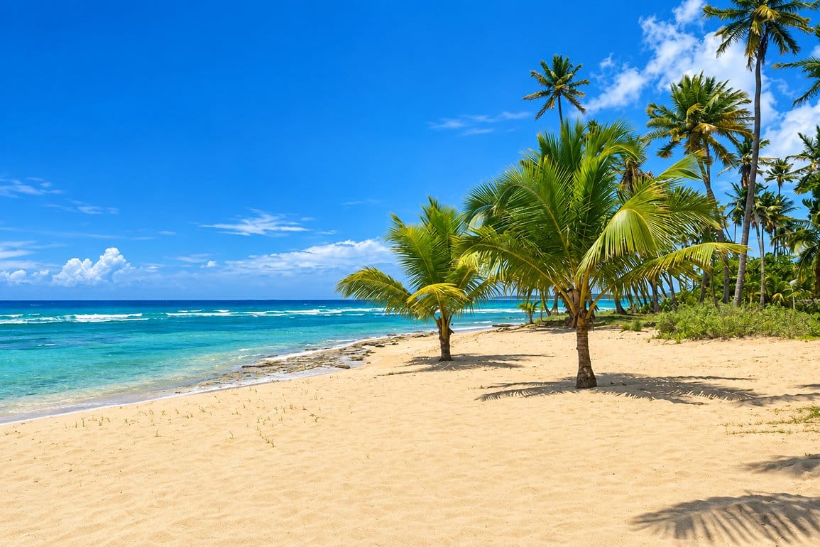 Terreno frente al mar en venta en Cosón, Las Terrenas — Foto 4