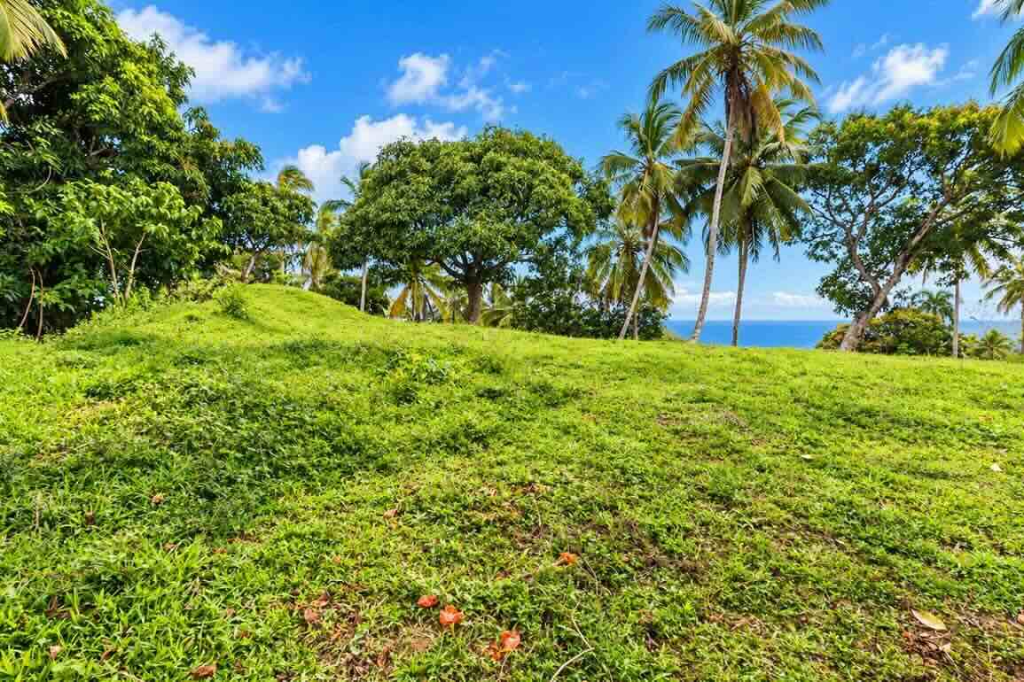 Terreno con Vista al Mar en Venta entre Las Terrenas y Samaná — Foto 2