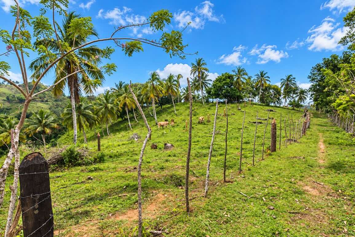 Terreno con Vista al Mar en Venta entre Las Terrenas y Samaná — Foto 5