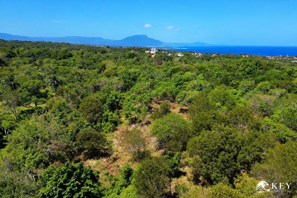 Terreno en Venta en La Mulata, Sosúa — Foto 5