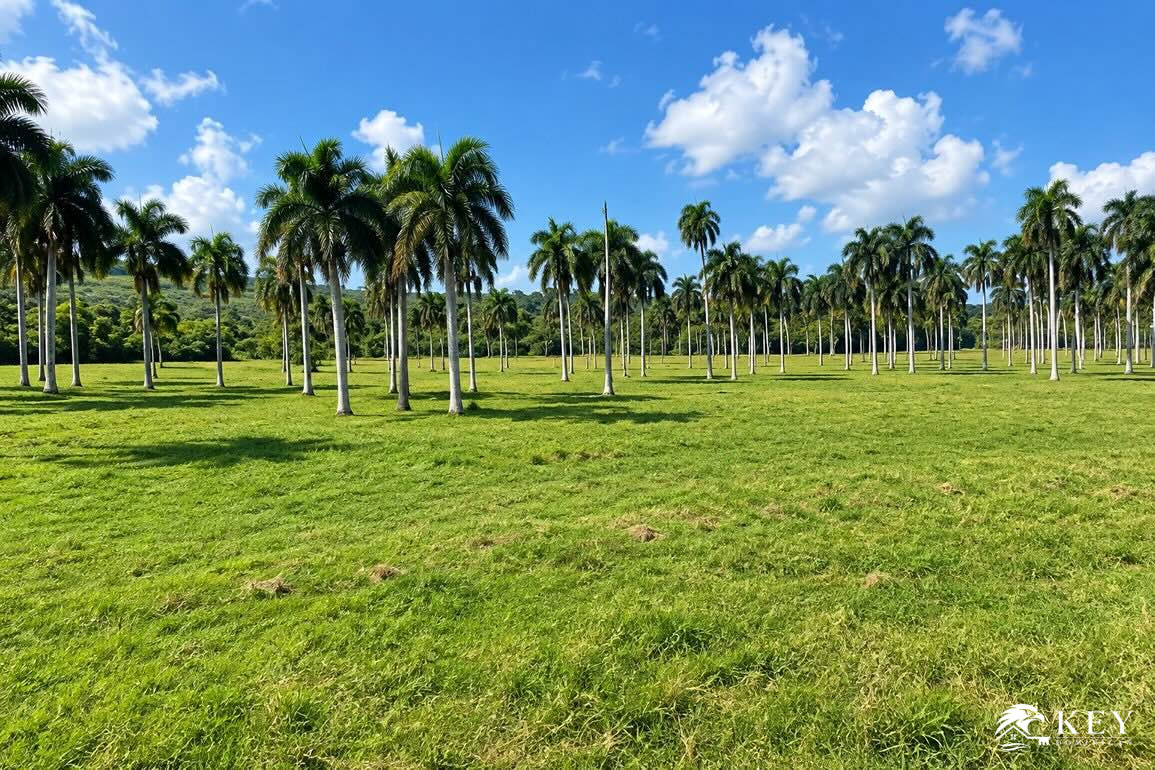 Beachfront Land for Sale in Las Cañas, Gaspar Hernández — Photo 2