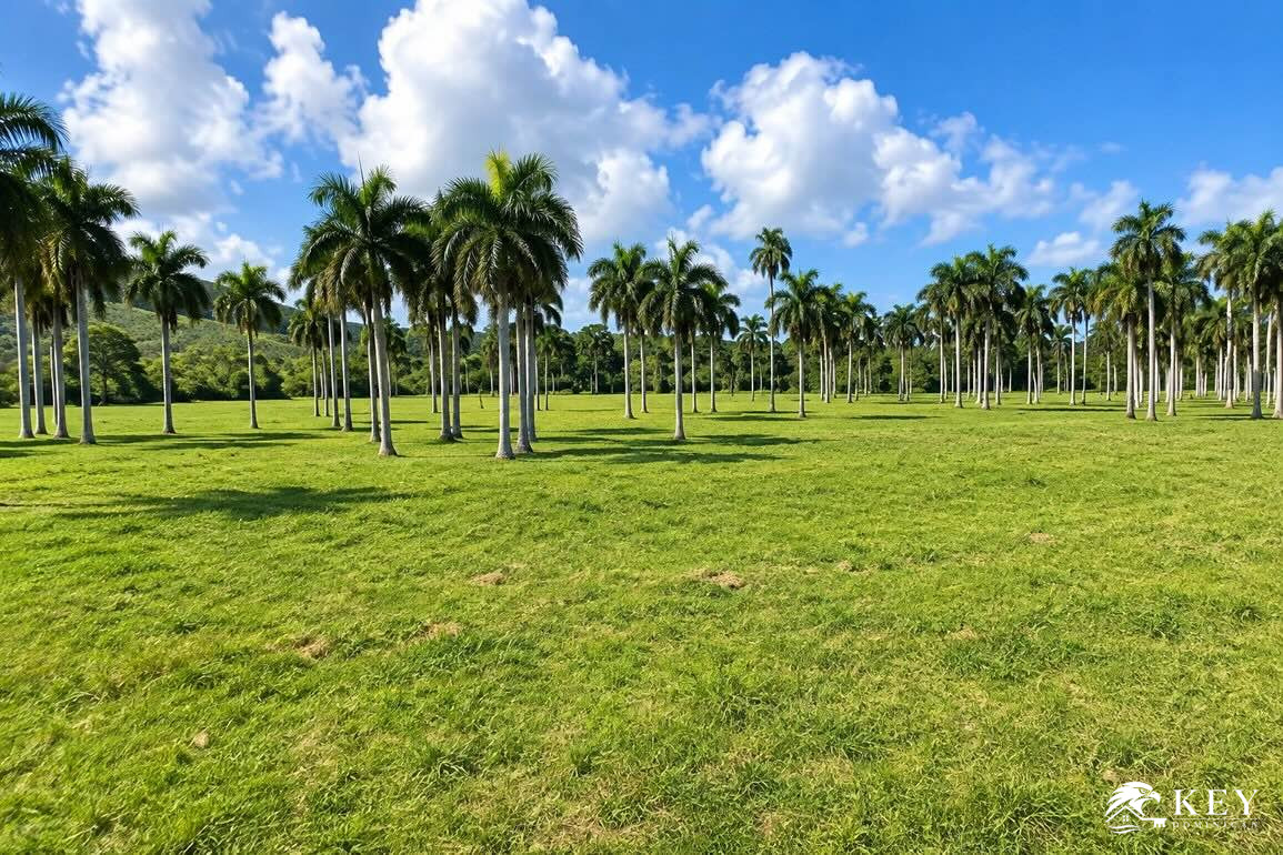 Beachfront Land for Sale in Las Cañas, Gaspar Hernández — Photo 3