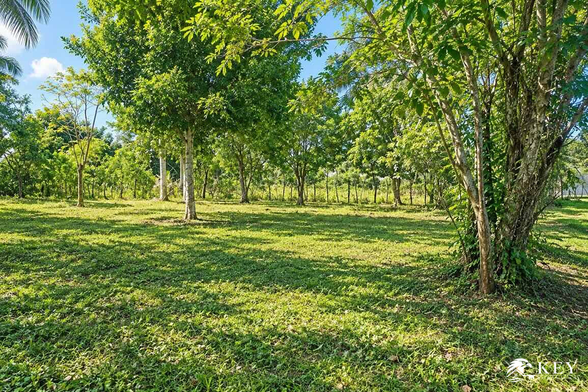 Solares en Venta en Jardín Deportivo, Cabarete — Foto 5