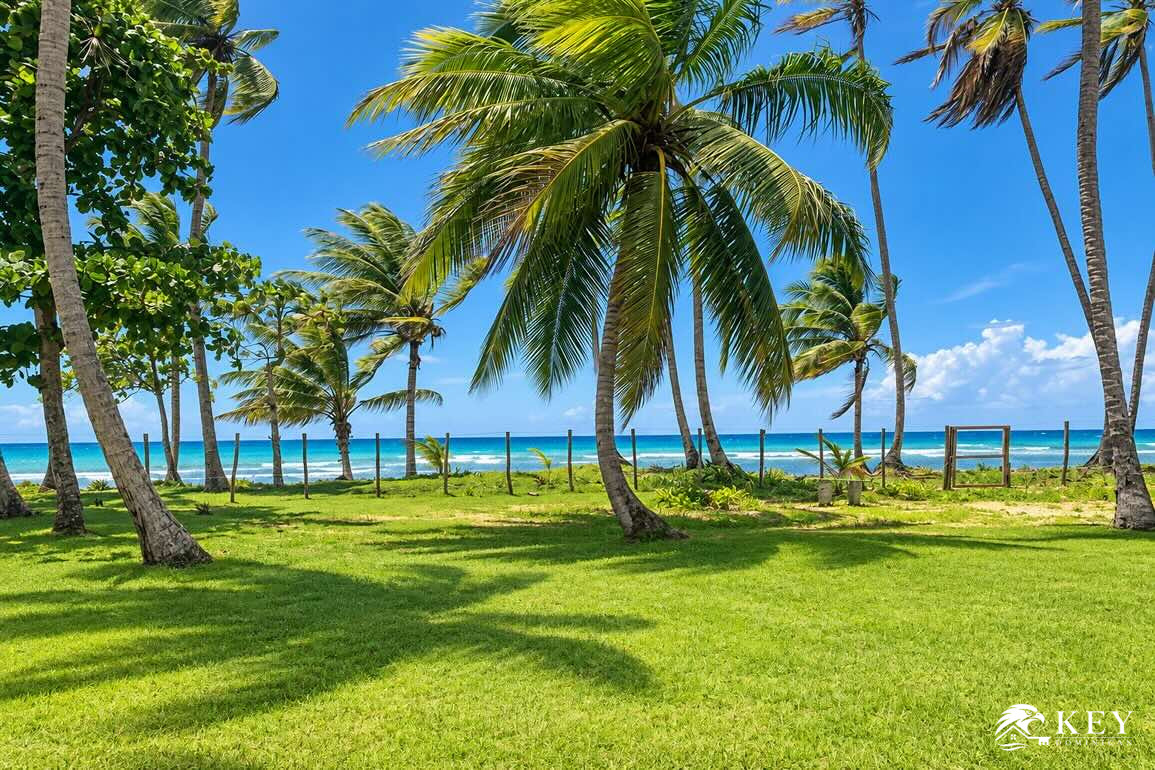 Terreno frente al mar en venta en Cosón, Las Terrenas — Vista