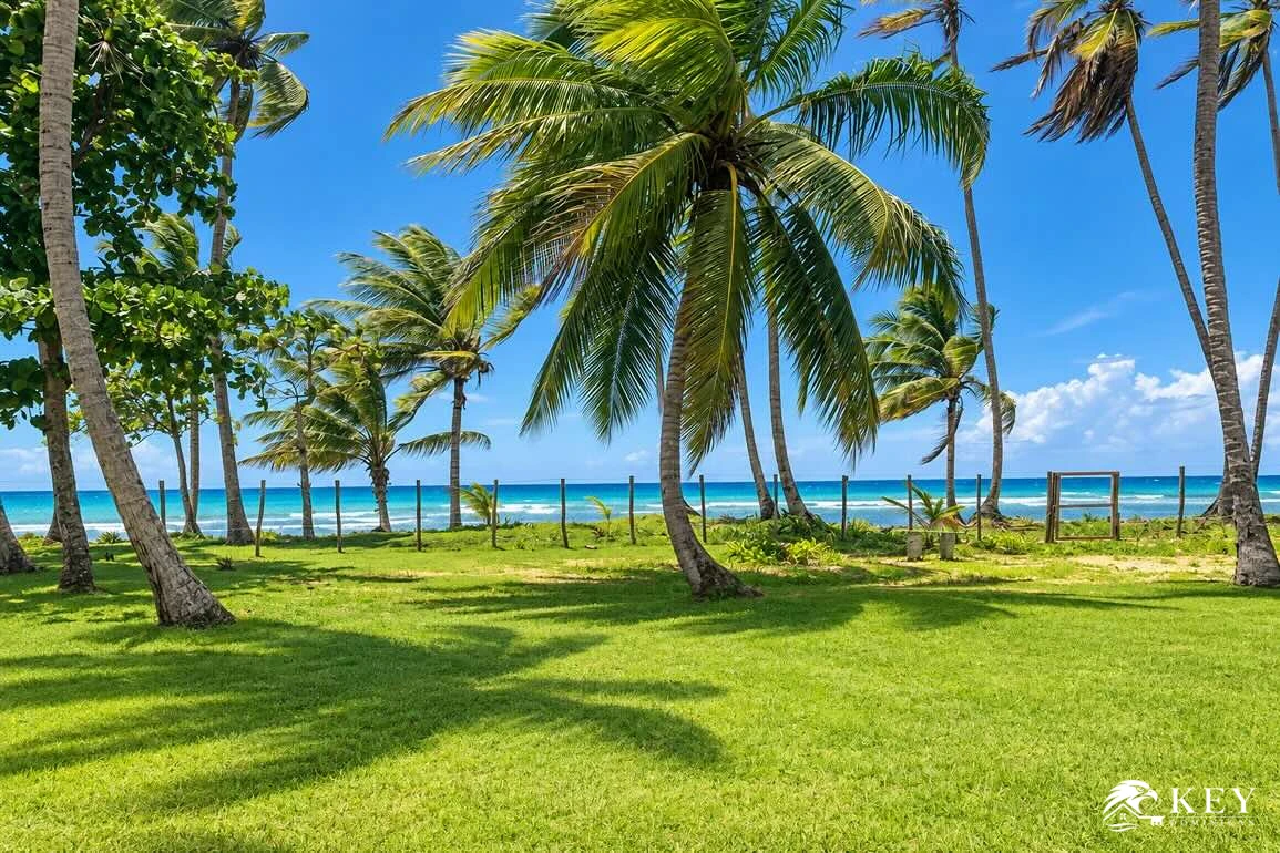 Terreno frente al mar en venta en Cosón, Las Terrenas — Vista