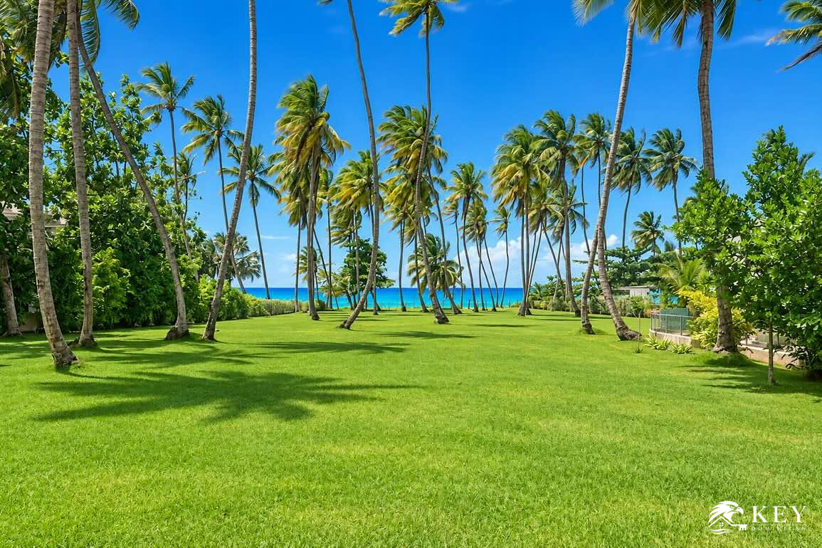 Terreno frente al mar en venta en Cosón, Las Terrenas — Foto 3