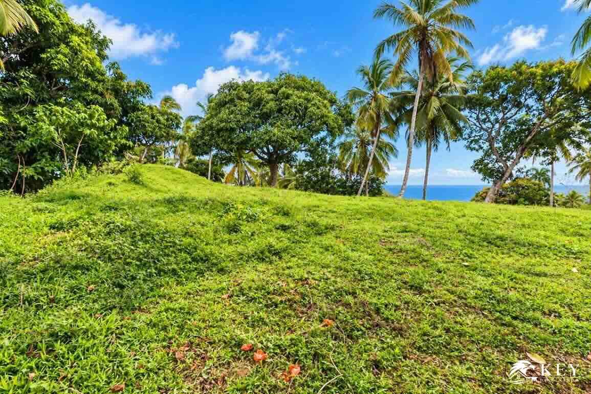 Ocean View Land for Sale Between Las Terrenas and Samaná — Photo 2