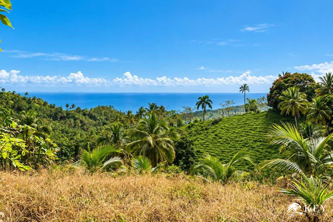 Ocean View Land for Sale Between Las Terrenas and Samaná — View