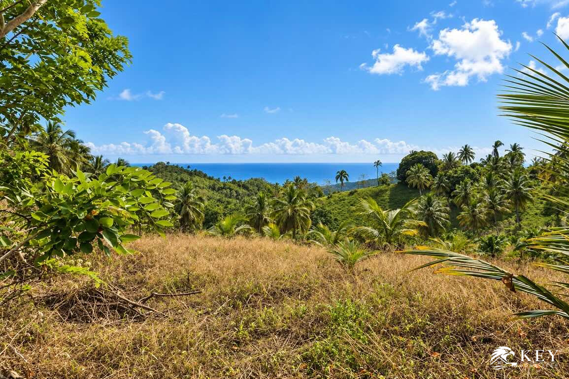 Ocean View Land for Sale Between Las Terrenas and Samaná — Photo 4