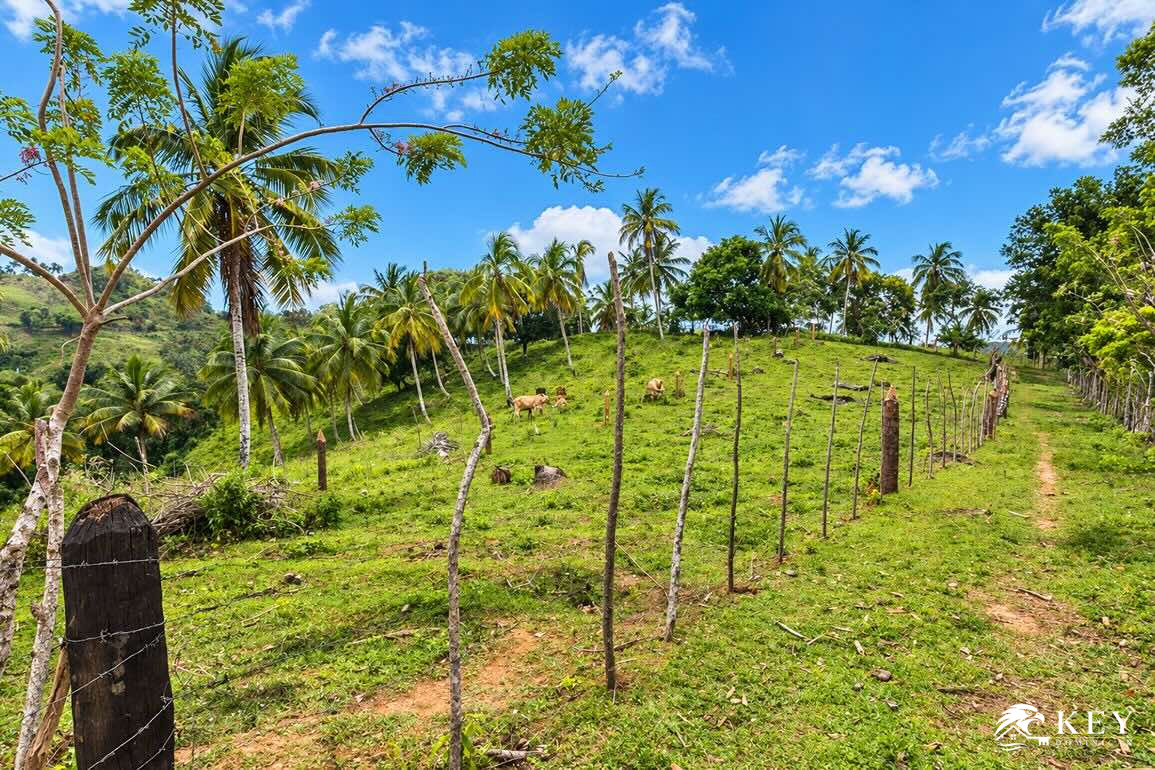 Ocean View Land for Sale Between Las Terrenas and Samaná — Photo 5