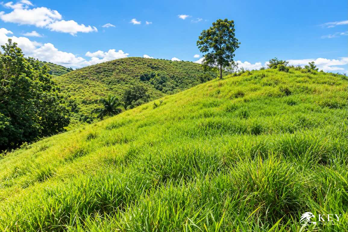Terreno en Venta en Jamao al Norte, Cabarete – — Foto 3