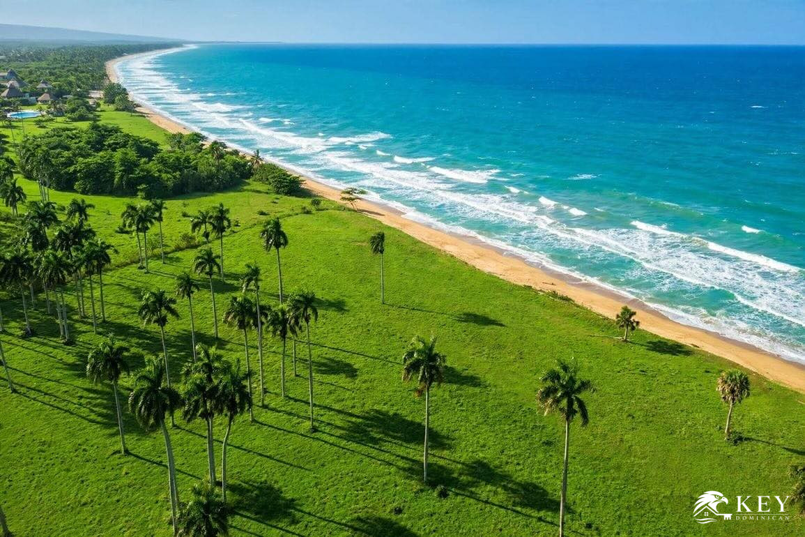 Beachfront Land for Sale in Gaspar Hernández — View