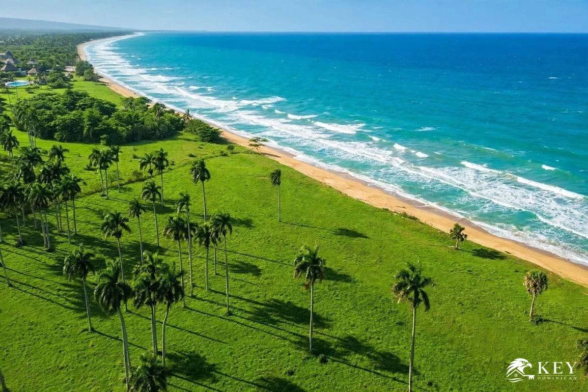 Beachfront Land for Sale in Gaspar Hernández — View